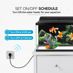 Ozone 10A Smart Plug - Ozone Group