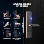Ozone Morphy NXT Rose Gold Bluetooth Smart Lock With OzoLife Wi-Fi Bridge/Gateway - Ozone Group